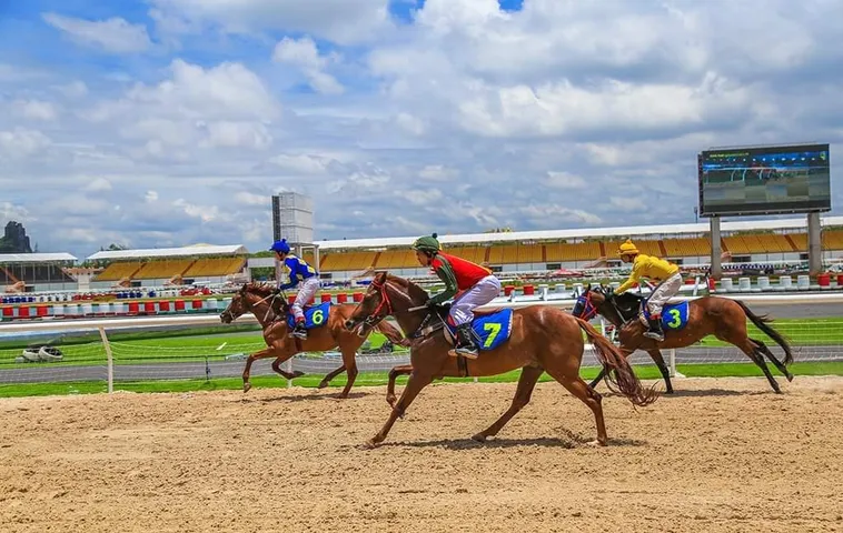 Tìm Hiểu Cá Cược Đua Ngựa Bet365 Thú Vị Để Thắng Lớn Ngay Hôm Nay