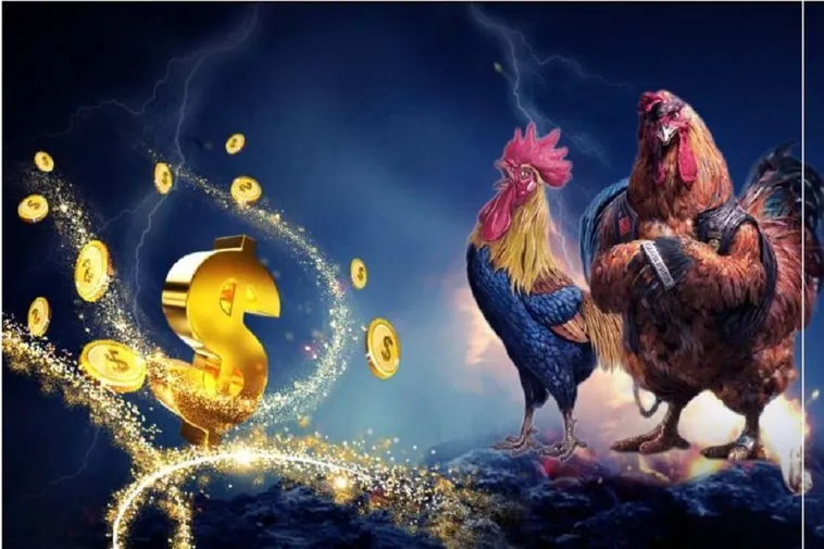 Tham Gia Đá Gà WS168 Bet365 Ngay Hôm Nay Để Săn Thưởng Lớn
